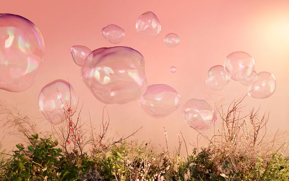 A light pink background of spring foliage and bubbles of various shapes and sizes.