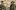 An illustration of two men from a text from circa 1600s