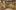 omputer generated image of an indoor wooden theatre showing the view of the stage from the upper gallery seating