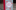 An image of a book cover, titled: Shakespeares Love Sonnets, with a pattern of red roses on a light blue background.